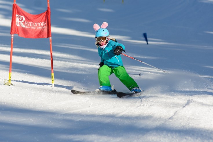 Molly in the gates. Note her upright pink ears pushed back by the wind - they usually lean forward.