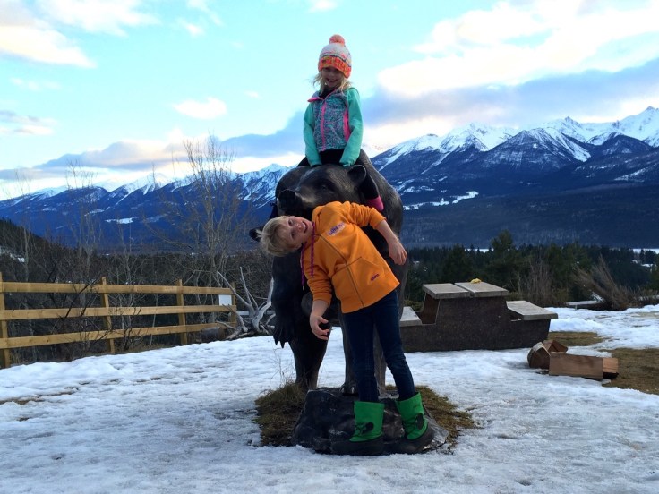 Grizzly at the Day Inn