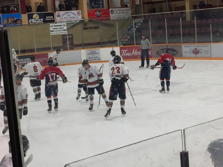 The Revelstoke Grizzlies